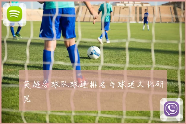 英超各球队球迷排名与球迷文化研究