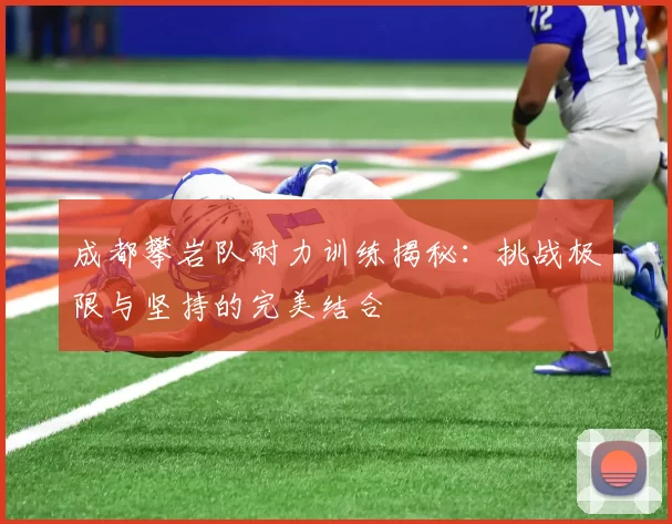 成都攀岩队耐力训练揭秘：挑战极限与坚持的完美结合
