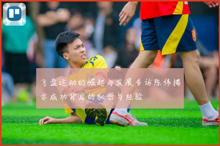 飞盘运动的崛起与发展专访陈伟揭示成功背后的秘密与经验