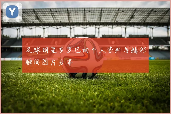 足球明星多罗巴的个人资料与精彩瞬间图片分享