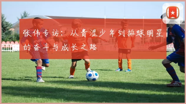 张伟专访：从青涩少年到排球明星的奋斗与成长之路