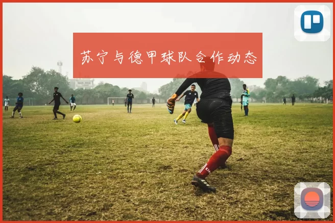 苏宁与德甲球队合作动态