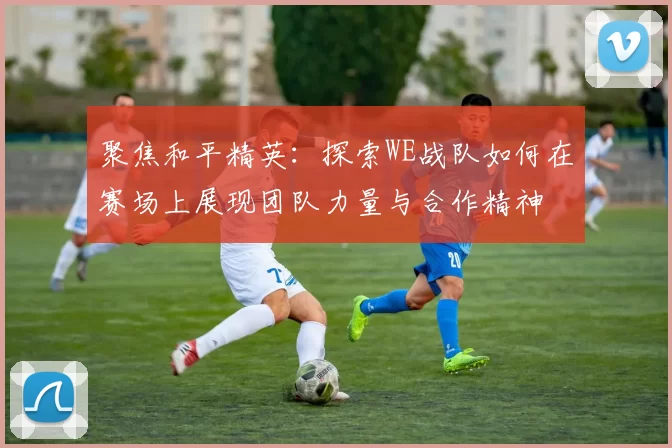 聚焦和平精英：探索WE战队如何在赛场上展现团队力量与合作精神
