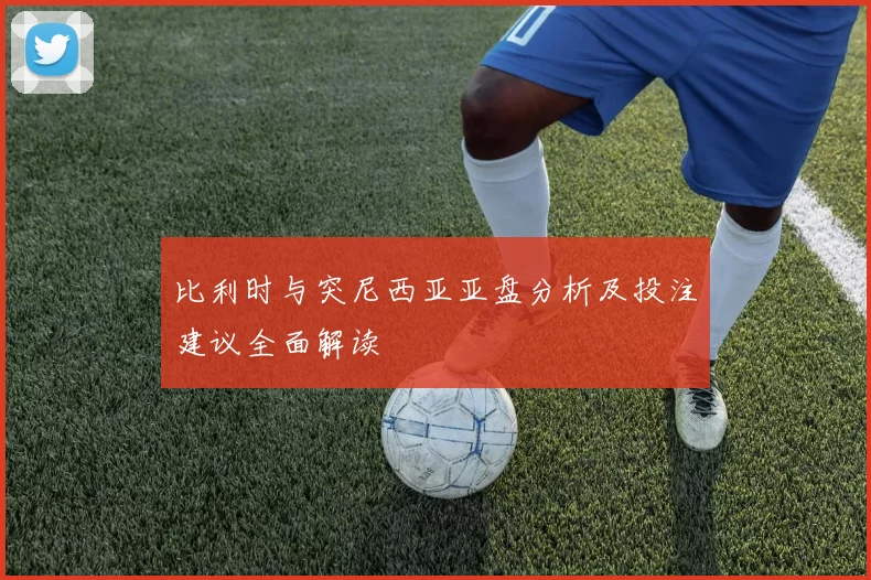 比利时与突尼西亚亚盘分析及投注建议全面解读