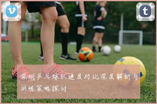 深圳乒乓球队速度对比深度解析与训练策略探讨