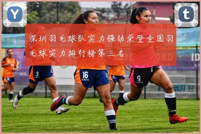 深圳羽毛球队实力强劲荣登全国羽毛球实力排行榜第三名