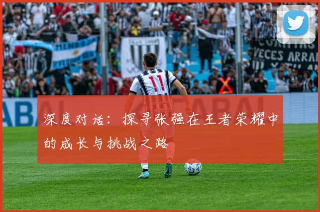 深度对话：探寻张强在王者荣耀中的成长与挑战之路