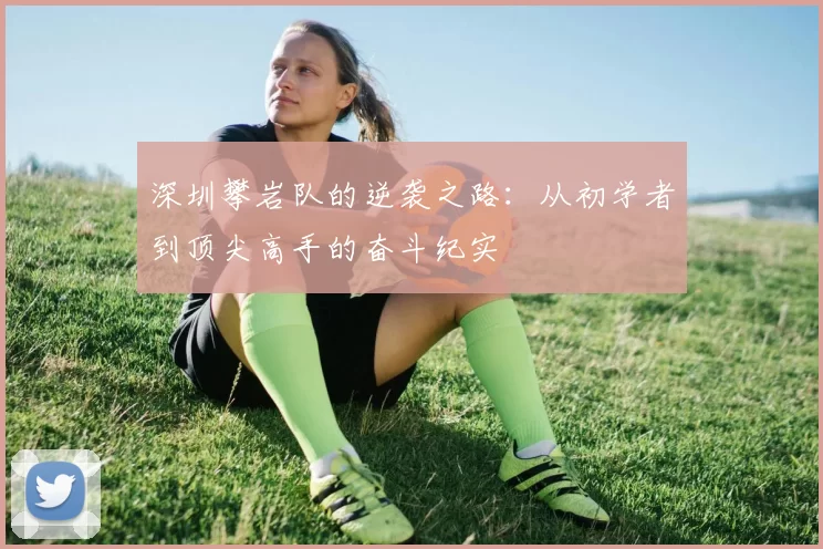 深圳攀岩队的逆袭之路：从初学者到顶尖高手的奋斗纪实