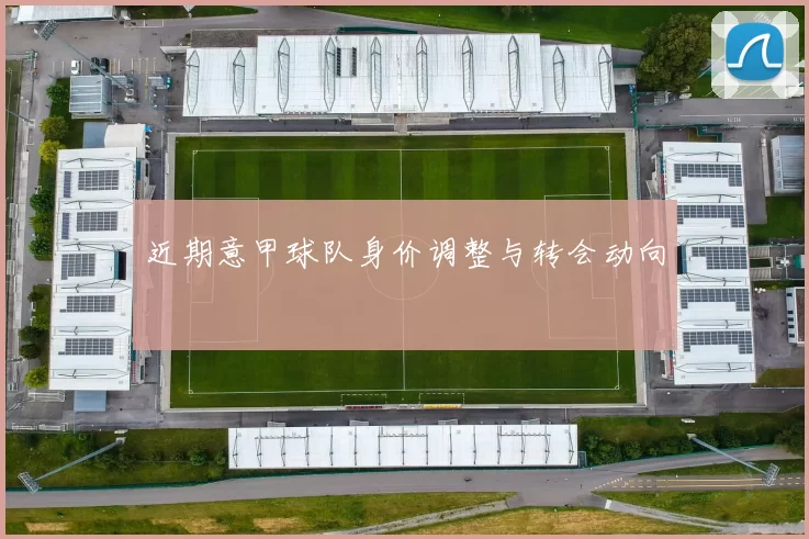 近期意甲球队身价调整与转会动向