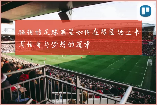 猫街的足球明星如何在绿茵场上书写传奇与梦想的篇章