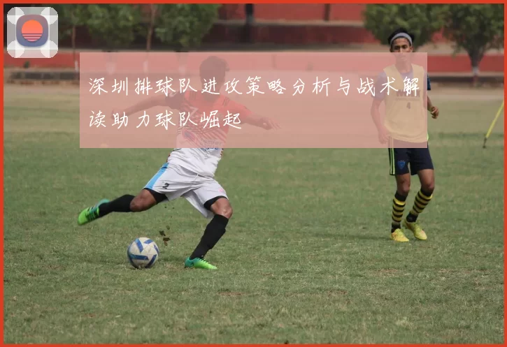 深圳排球队进攻策略分析与战术解读助力球队崛起
