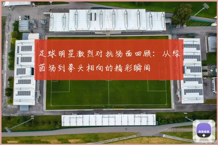 足球明星激烈对抗场面回顾：从绿茵场到拳头相向的精彩瞬间