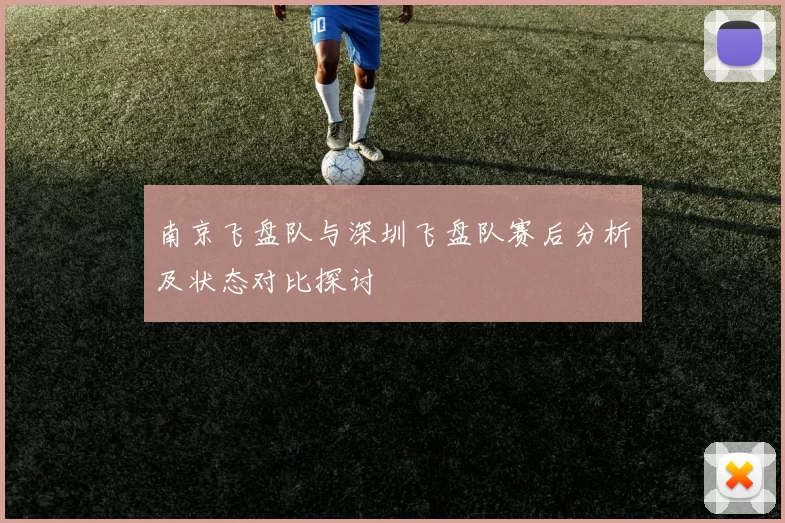 南京飞盘队与深圳飞盘队赛后分析及状态对比探讨