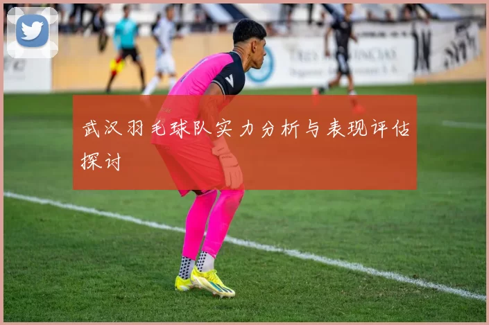 武汉羽毛球队实力分析与表现评估探讨