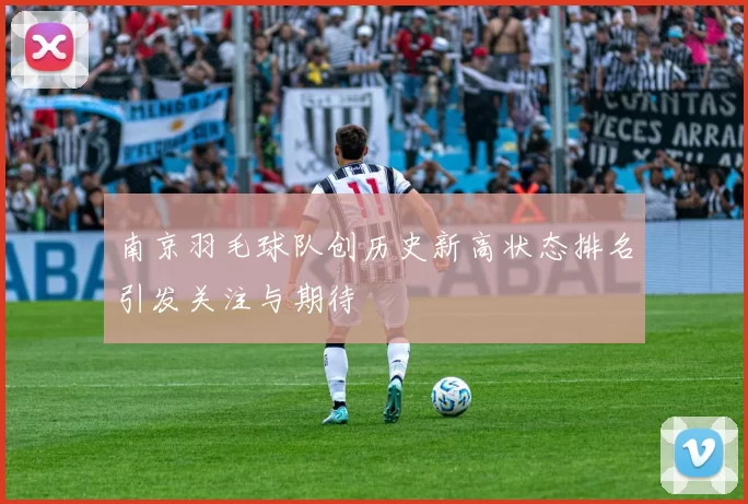 南京羽毛球队创历史新高状态排名引发关注与期待