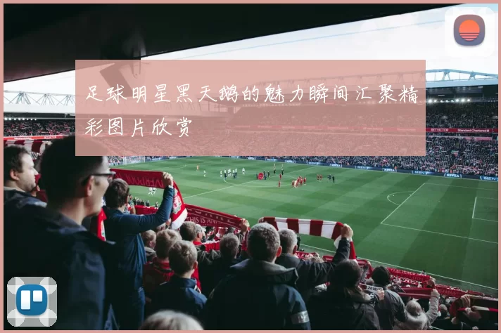 足球明星黑天鹅的魅力瞬间汇聚精彩图片欣赏