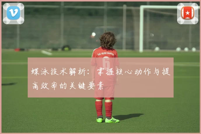 蝶泳技术解析：掌握核心动作与提高效率的关键要素