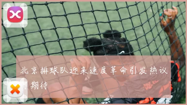 北京排球队迎来速度革命引发热议与期待