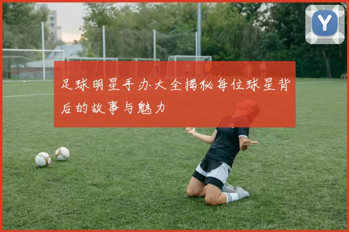 足球明星手办大全揭秘每位球星背后的故事与魅力