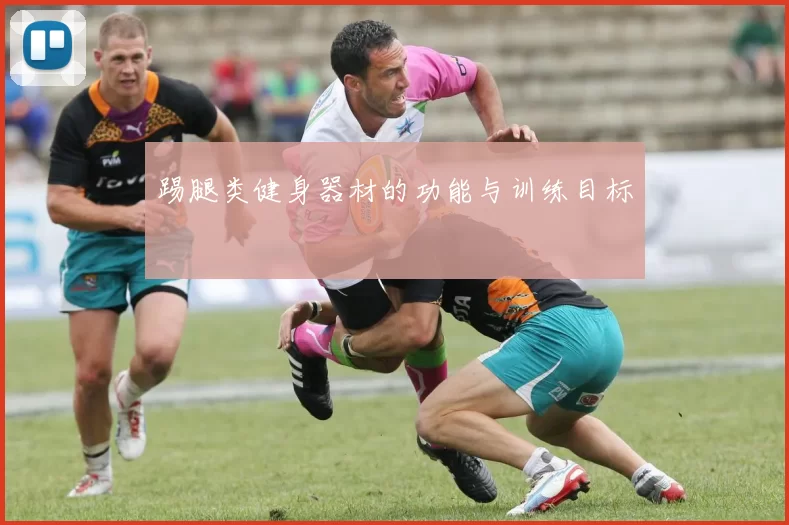踢腿类健身器材的功能与训练目标